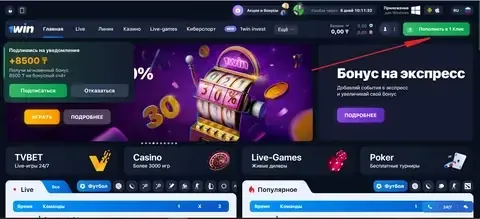Фирменные цвета и логотип 1win